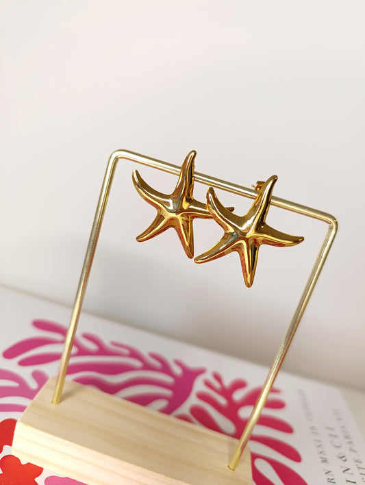 Boucles stella marina